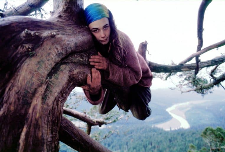 Femme arbre sequoia