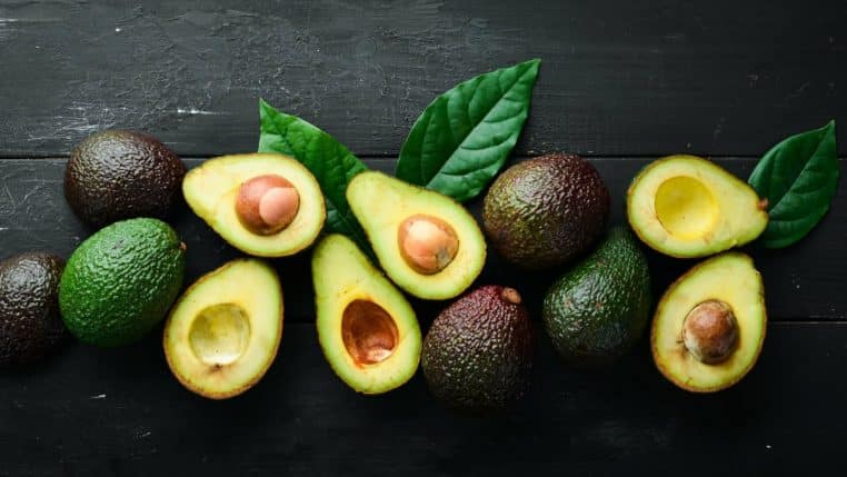 Fruits avocats