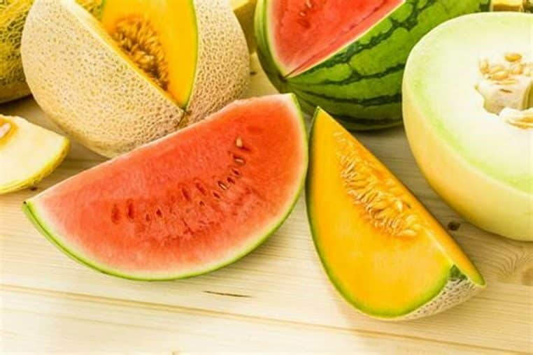 Fruits pasteque melon