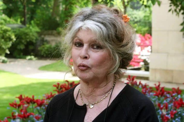 brigitte bardot @GINIES