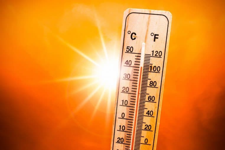 canicule @canva