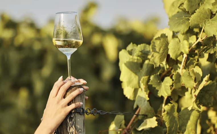 actu champagne info