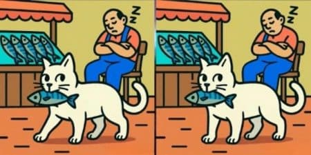 illusion chat 1