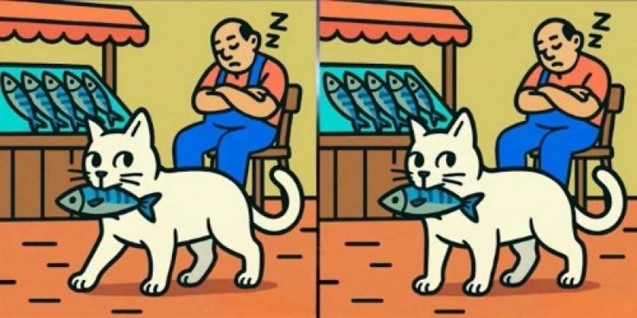 illusion chat 1