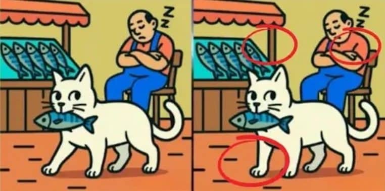 illusion chat