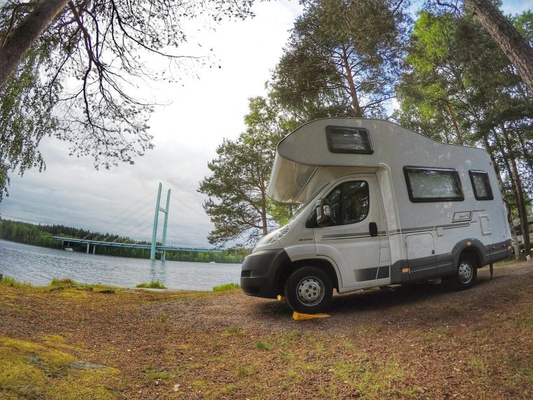 white and gray van parked beside green trees during daytime