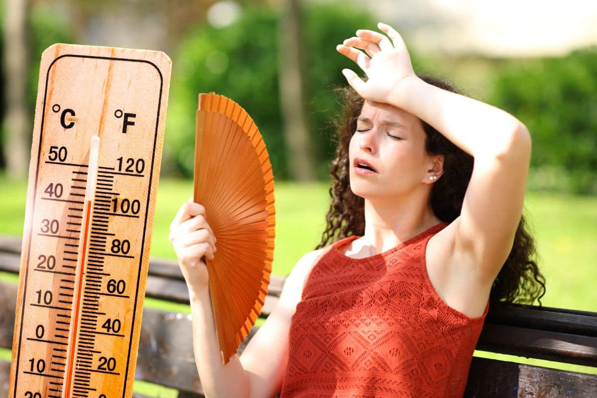 meteo chaleur @canva