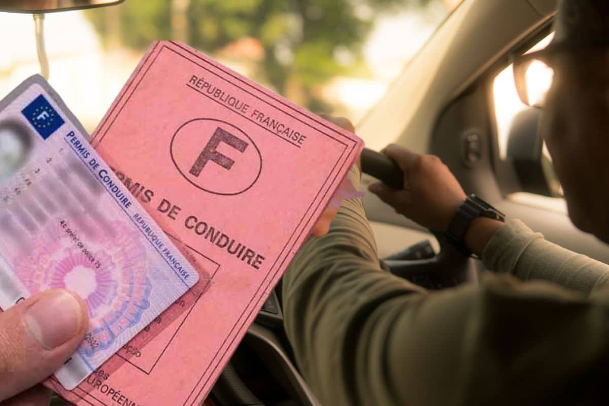 permis conduire @canva