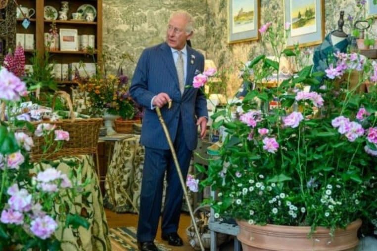 roi charles @Shutterstock