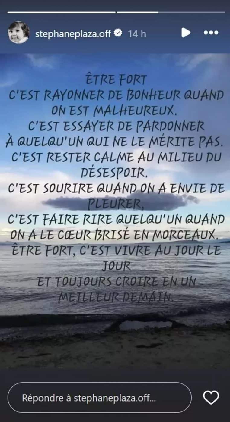 stephane plaza confidences message etonnant