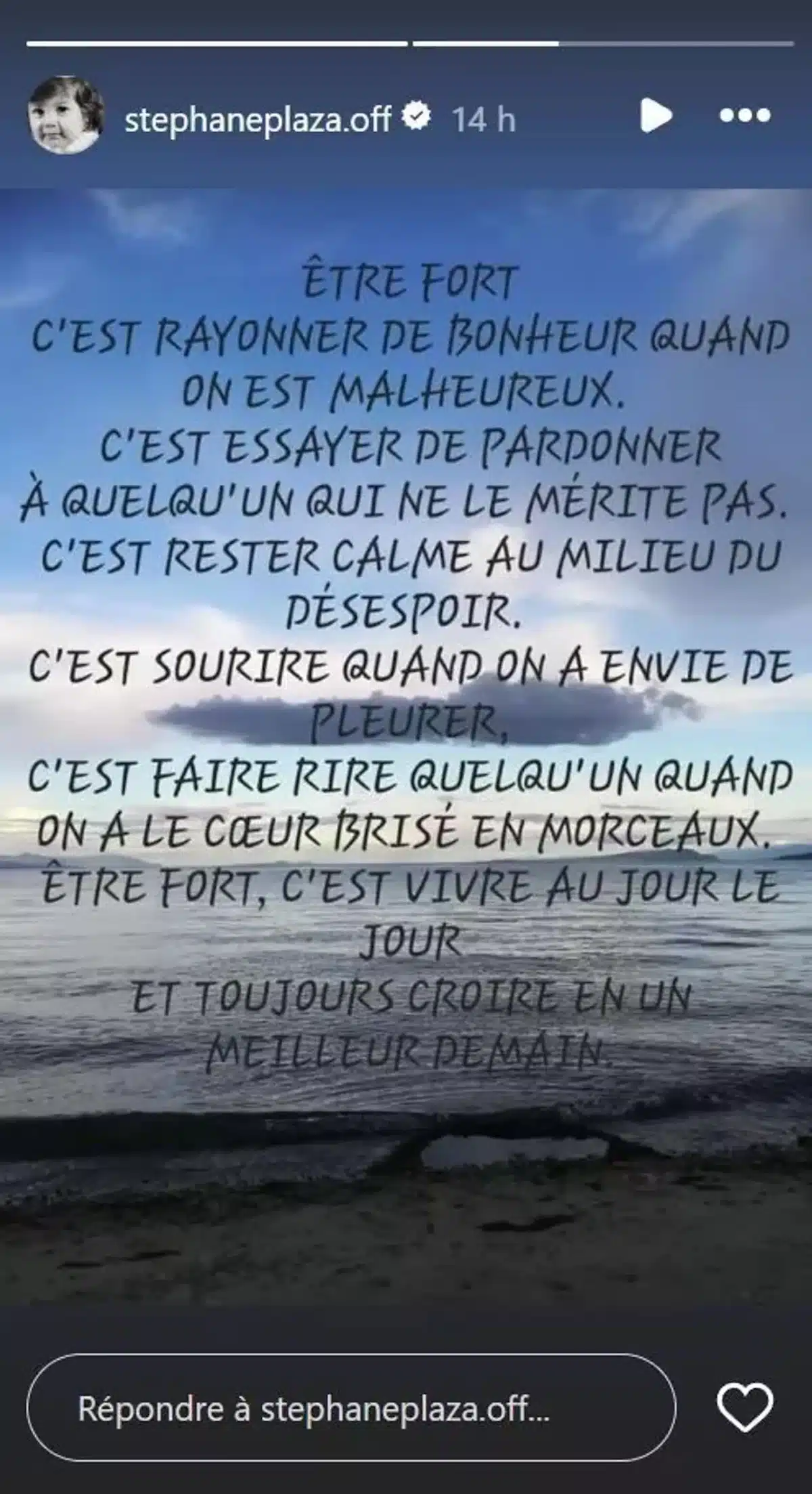 stephane plaza confidences message etonnant