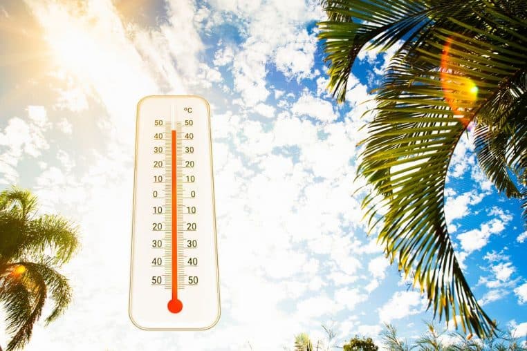thermometre @canva