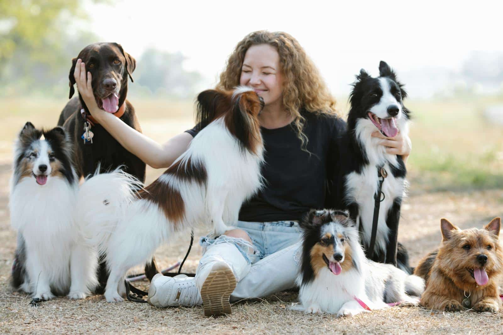 Smiling woman sitting with six dogs outdoors in a sunny park.