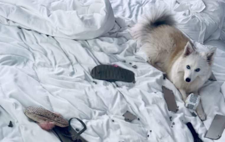 Adriana Karembeu chambre saccagée