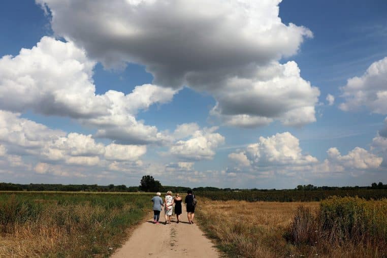 Sentier traversant un champ avec ciel nuageux.