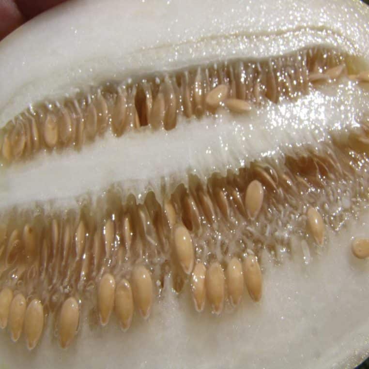 Melon coréen coupé en deux montrant ses graines et sa pulpe