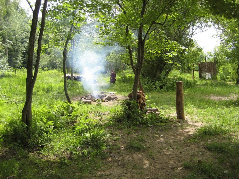 Clairière boisée avec un foyer de camp fumant au centre.