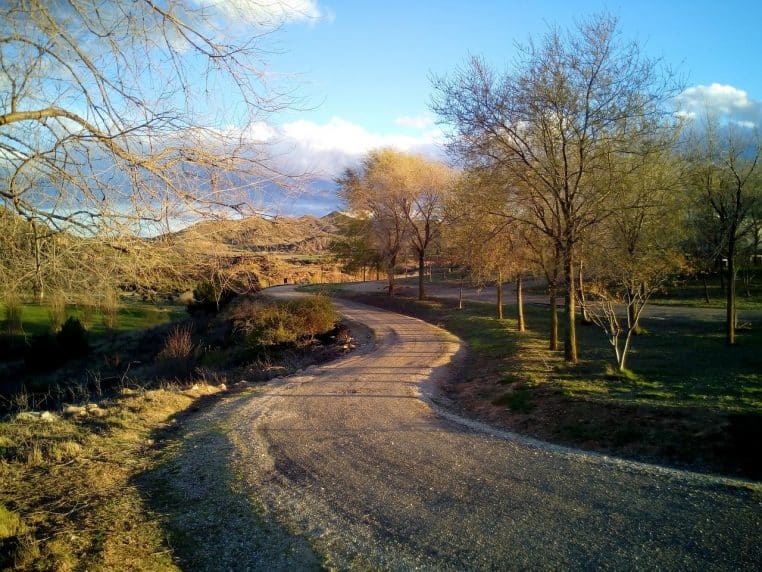 Chemin boisé entouré d’arbres sous un ciel couvert.
