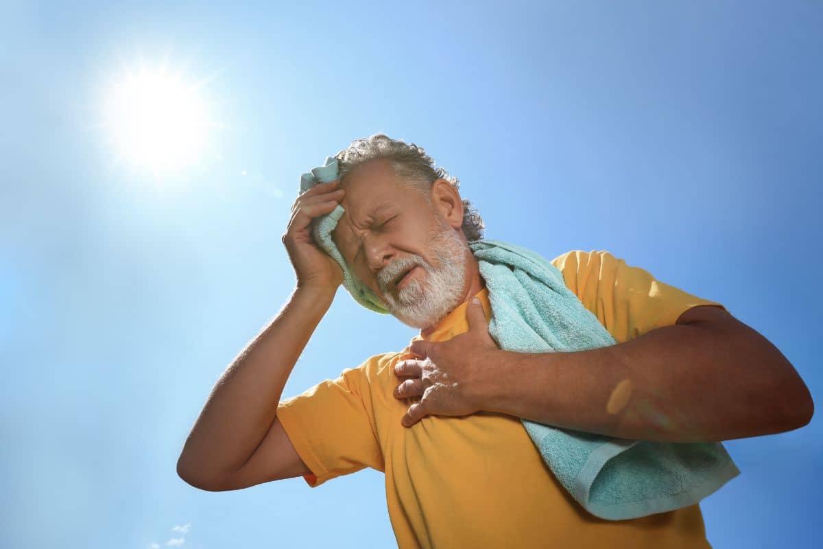 canicule @canva