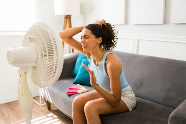 canicule @canva