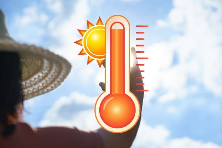 canicule @canva