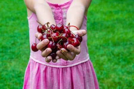 enfant 2 ans fillette 2 ans mort apès avoir manger cerise