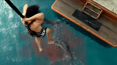 film requins 3