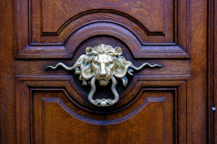 a close up of a door with a lion head on it