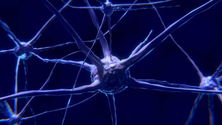 Les personnes qui ont cette particularité physiologique sont plus égoïstes que les autres