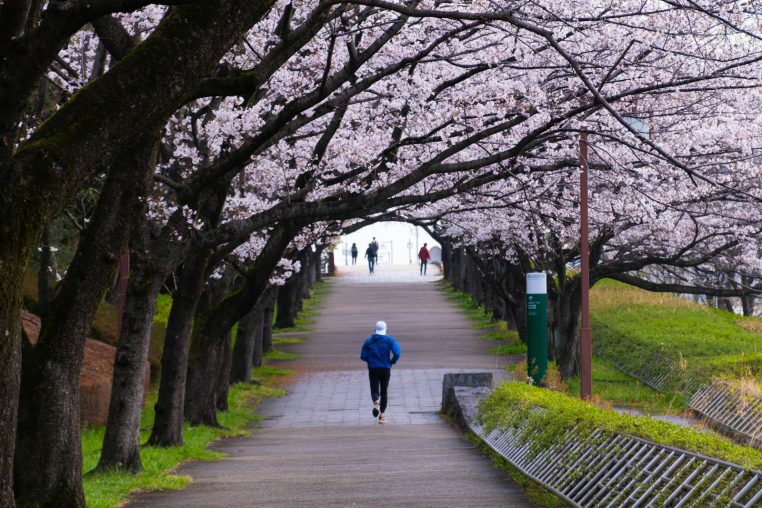 Marche japonaise