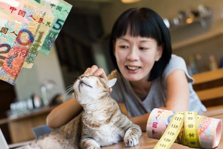 heritage animaux compagnie @canva