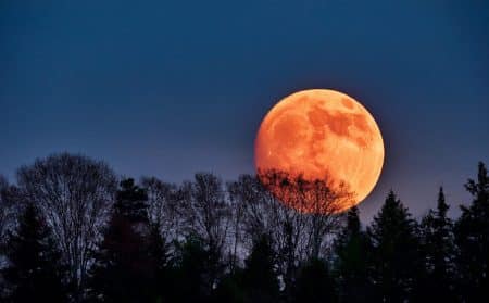lune des fraises