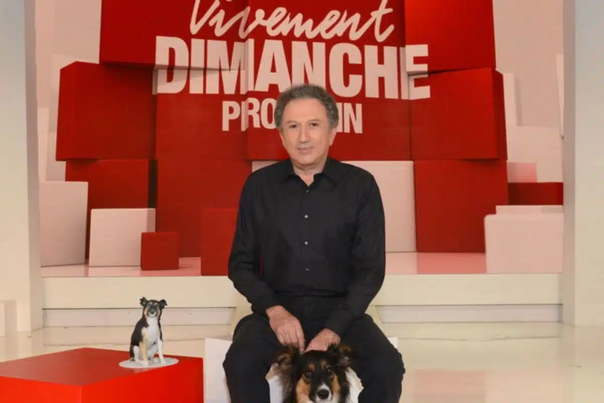 michel drucker @vivement dimanche