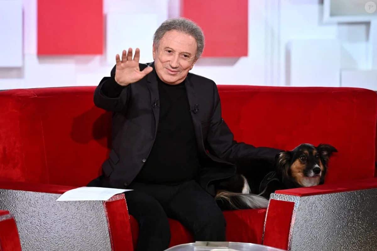 michel drucker @vivement dimanche