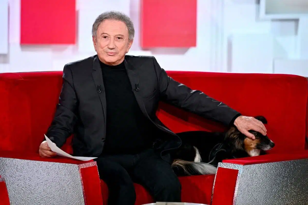 michel drucker @vivement dimanche