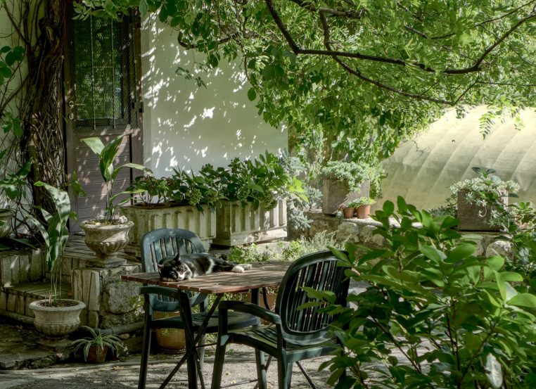 Jardin