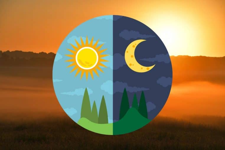 solstice ete @canva