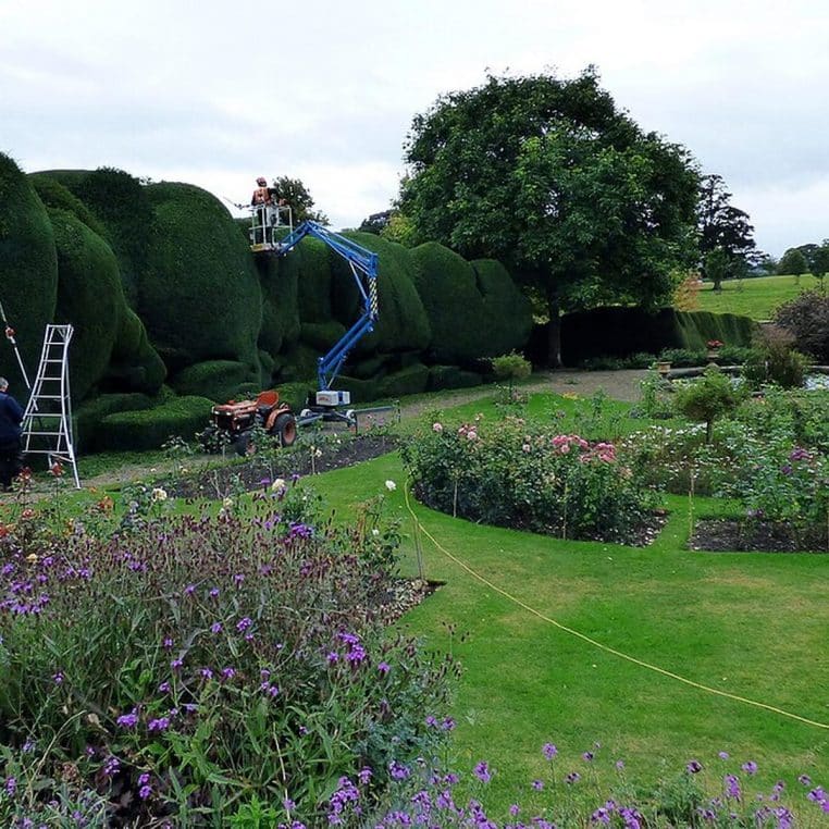Jardins du château de Raby avec taille de haies