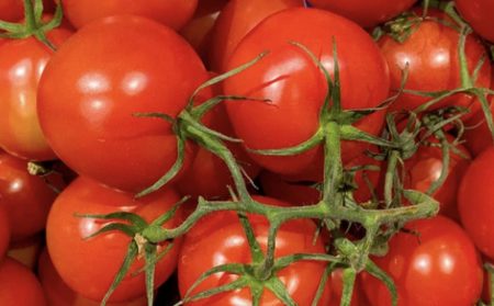tomates grappe marketing