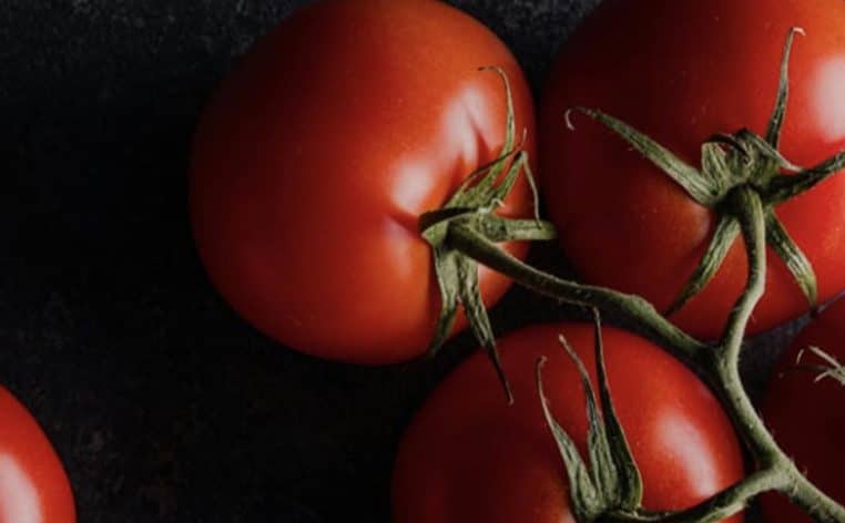 tomates grappe marketing