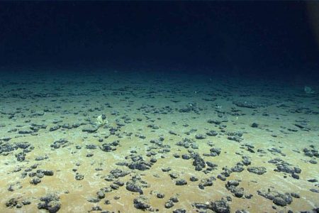 tresor ocean