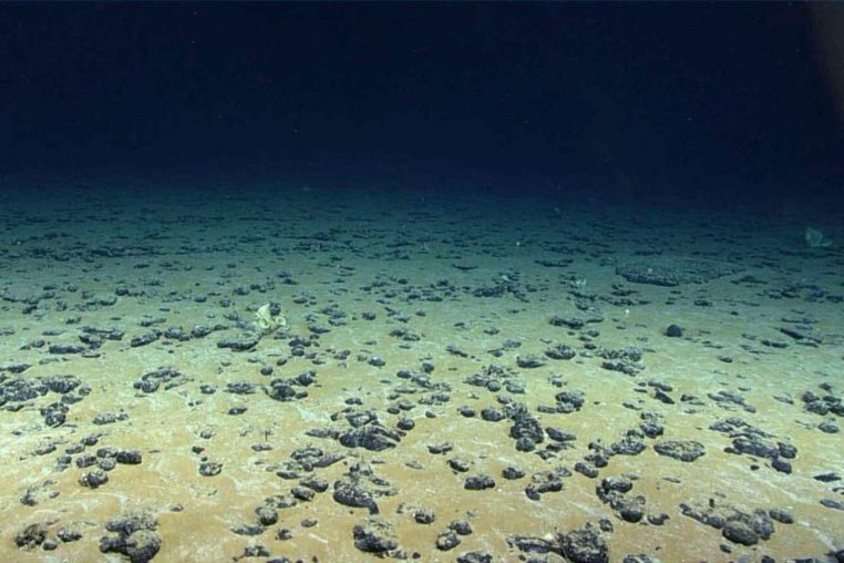 tresor ocean