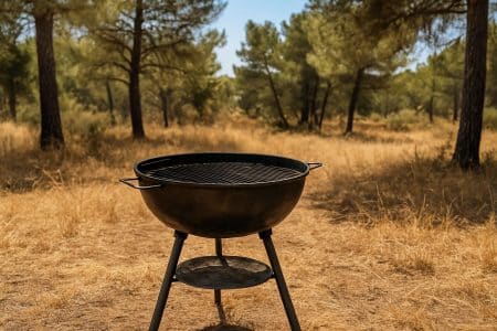 Barbecue en métal noir au milieu d’une forêt sèche de pins en été.