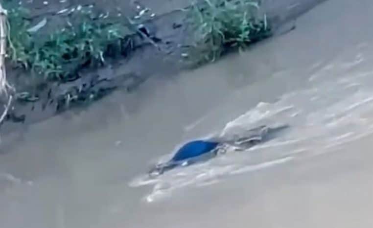 Crocodile attaque mortellement un adolescent