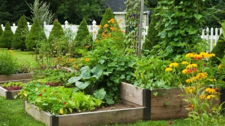 Plantations Jardin Potager