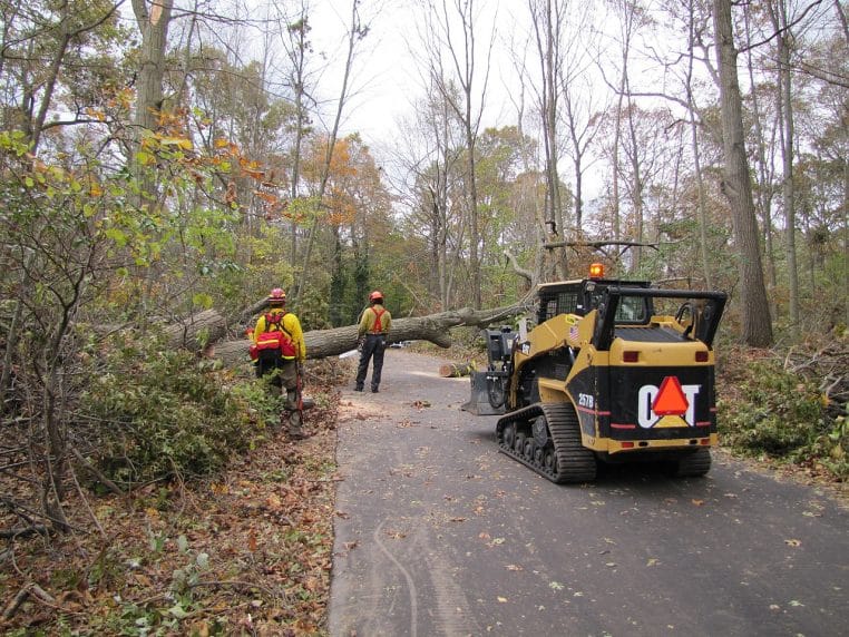 engins lourds dégageant arbres sous pylône.