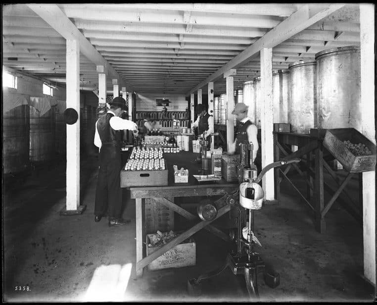 Ouvriers embouteillant de l’huile d’olive dans une huilerie californienne vers 1900.