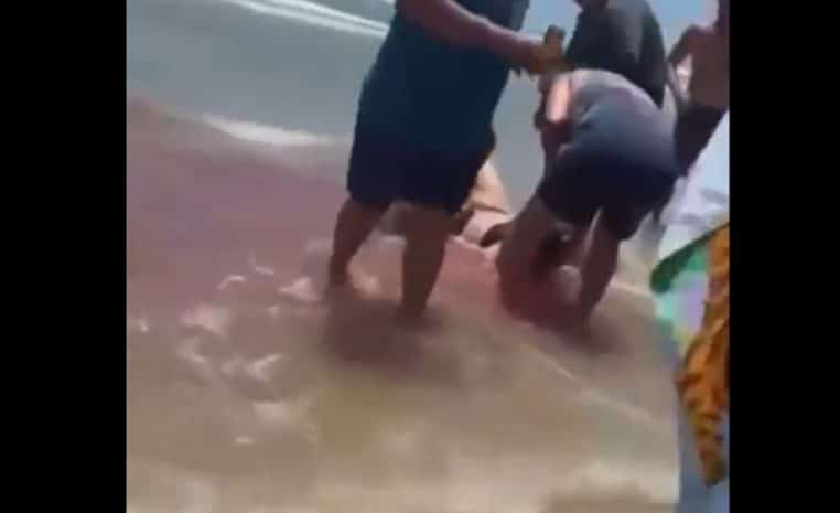 cette femme a miraculeusement survécu à une attaque de requin aux Etats-Unis