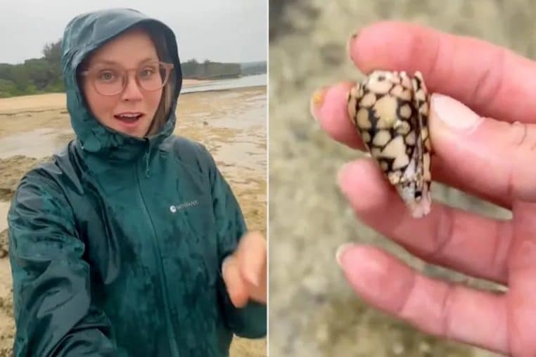 Coquillage