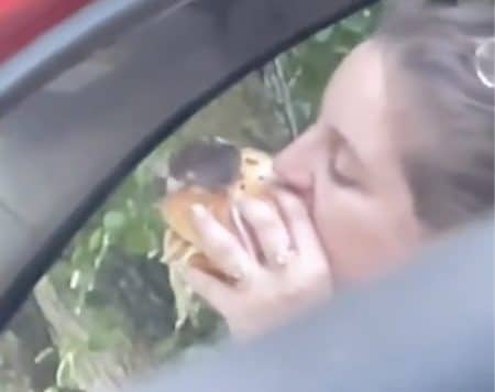 Burger avec souris